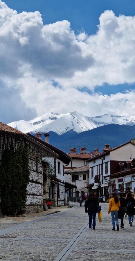 Green Life, Bansko, Private Studio C-17 Exterior foto